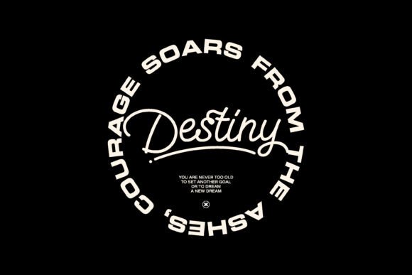 Destiny Bold Typography Graphic Tee: More Than Just a Font